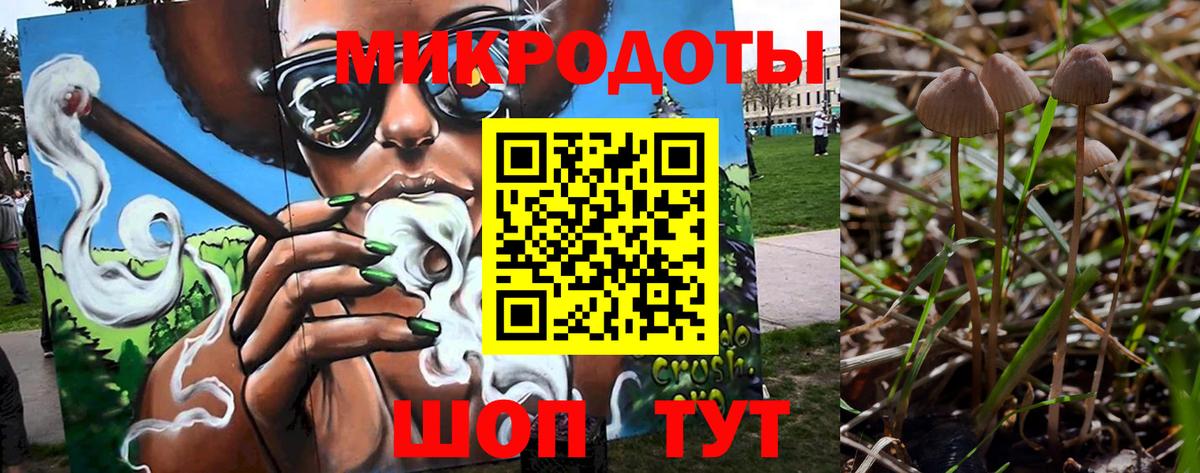 Галлюциногенные грибы мицелий  Вход с VPN  Елец 