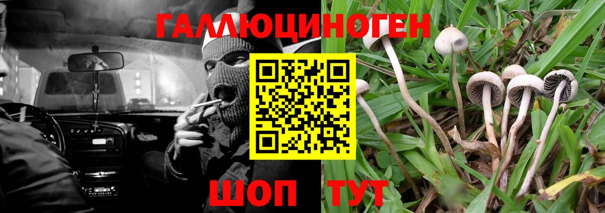 Псилоцибиновые грибы прущие грибы Елец